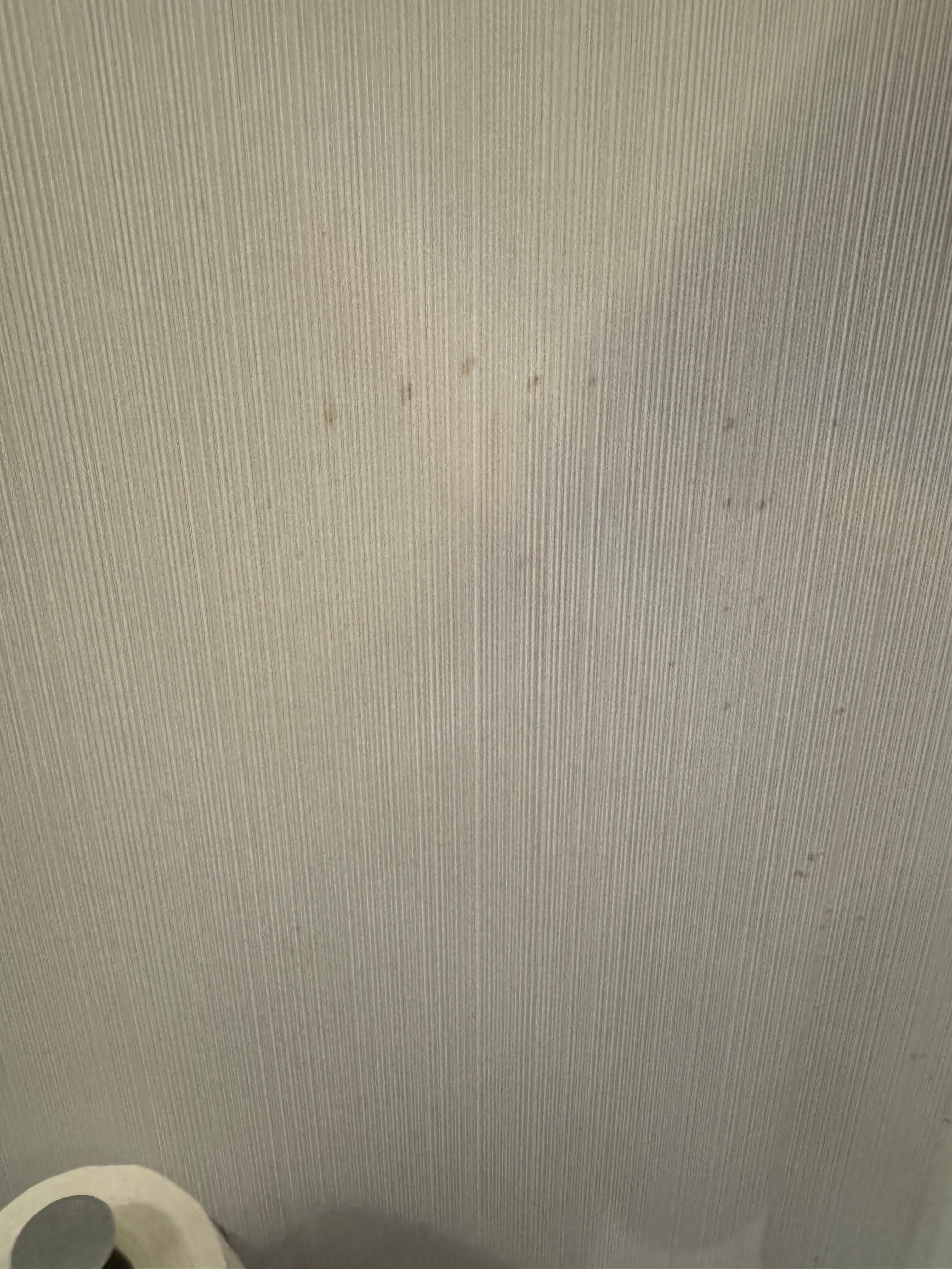 bathroom wall yuck, 