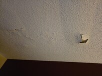 Closer picture of ceiling in main space.