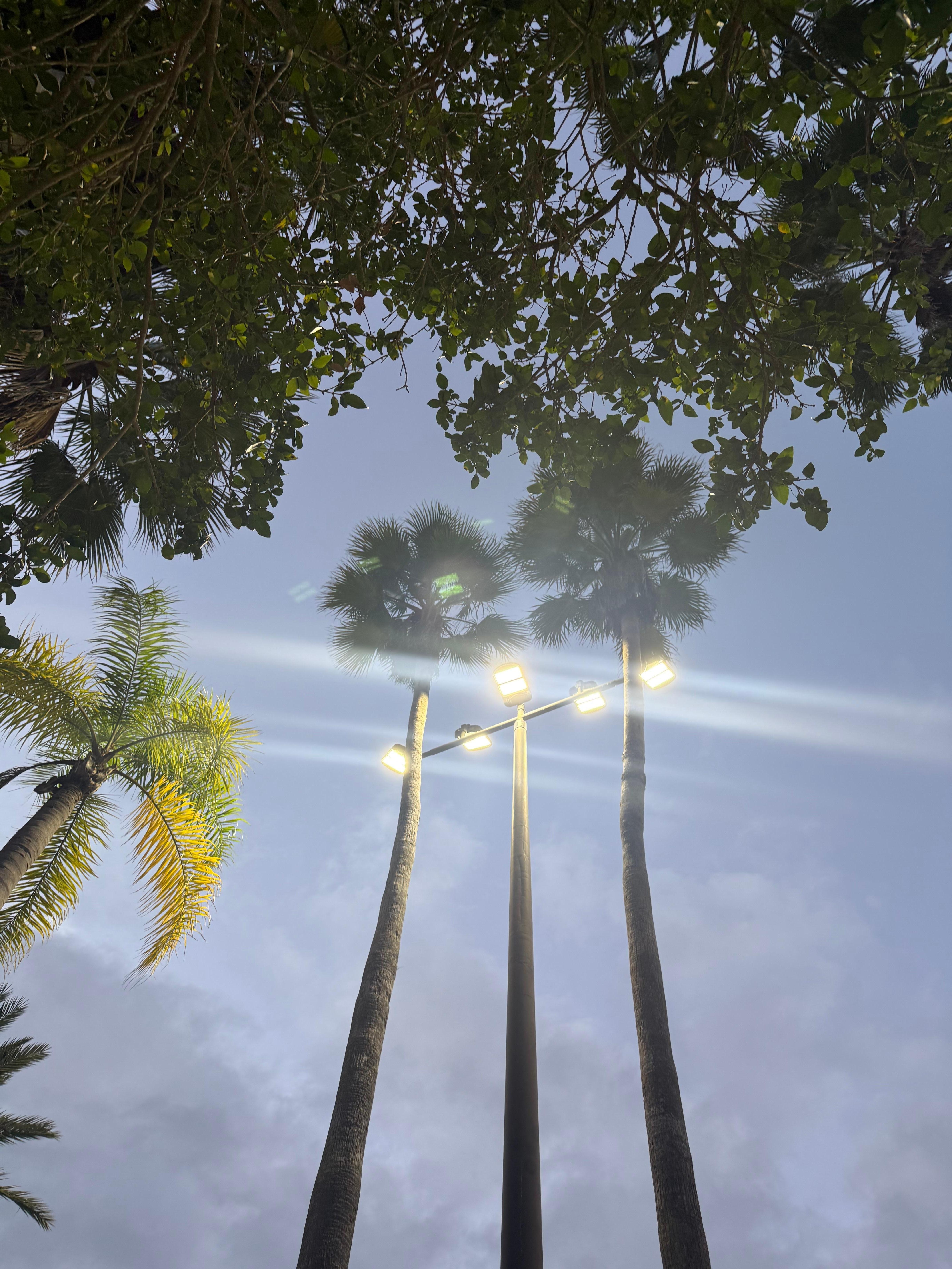 View from the hot tub 