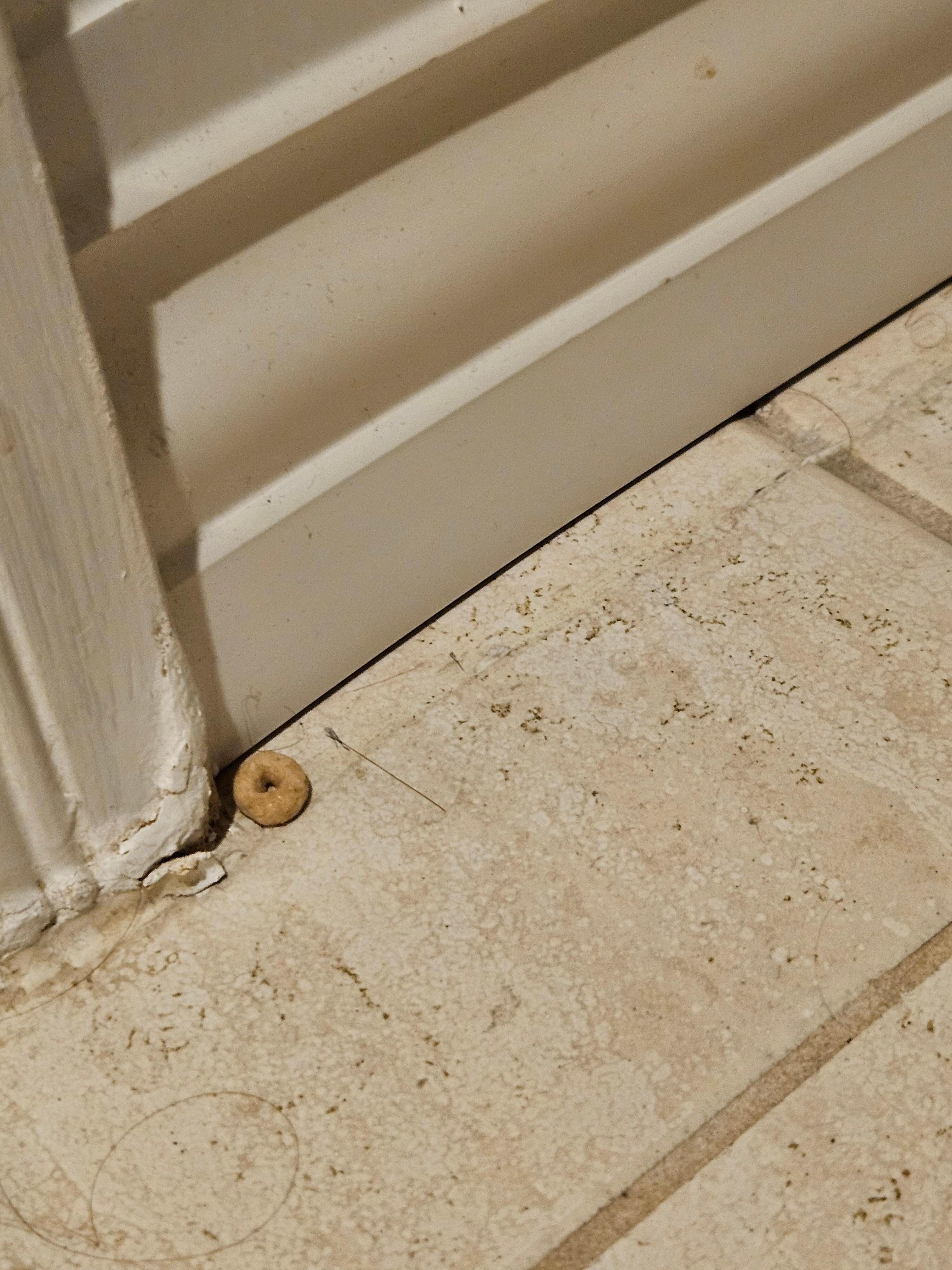 Cheerios in bathroom 