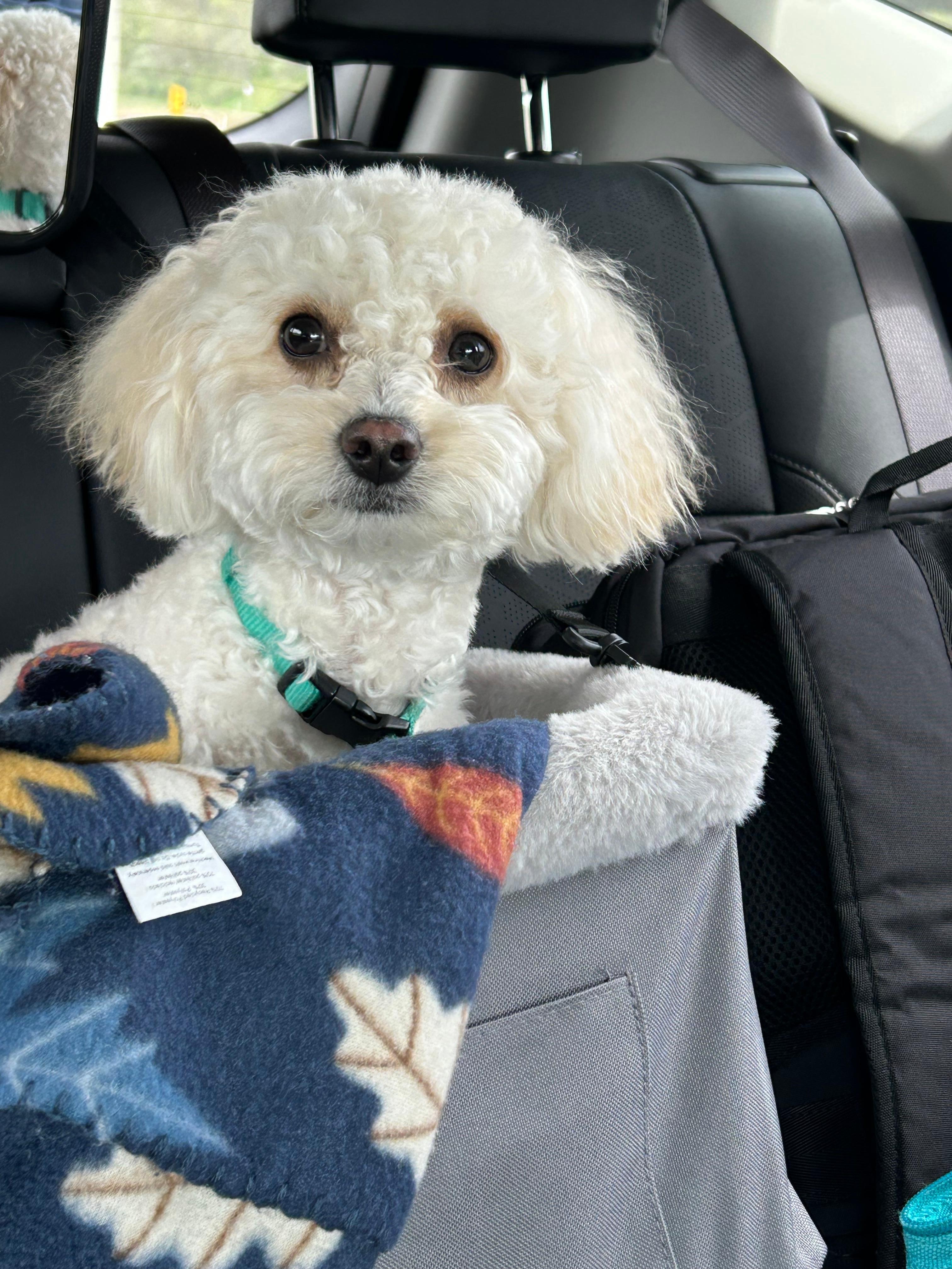 Sammy says “thank-you”!