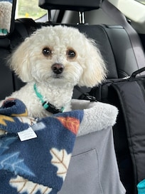 Sammy says “thank-you”!