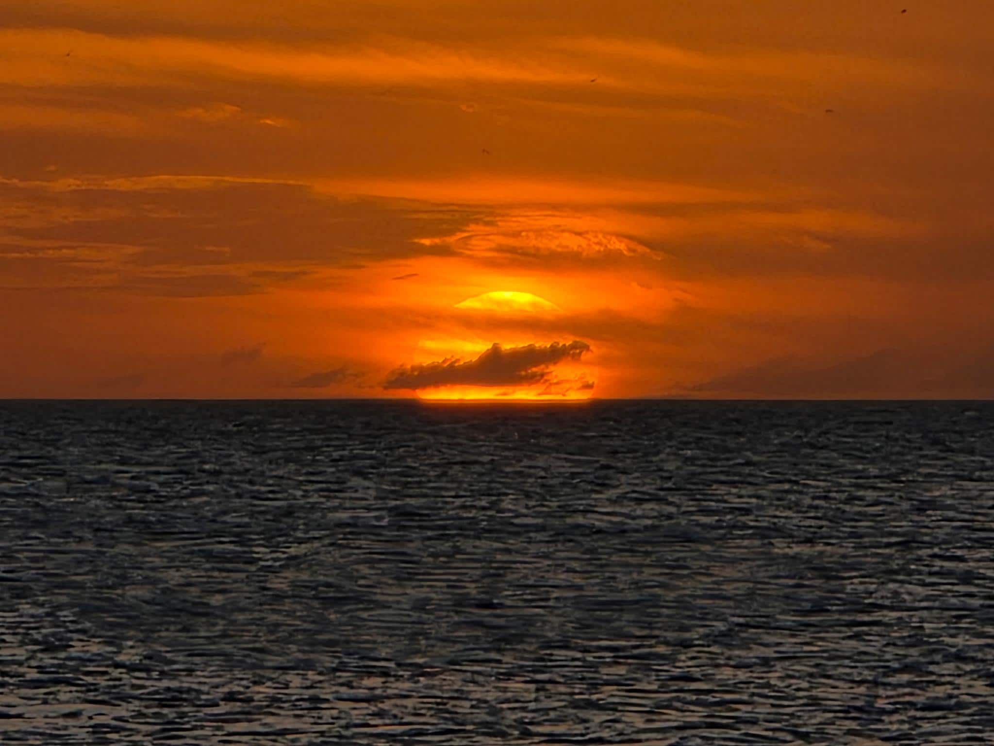 From Hurricanes rooftop bar