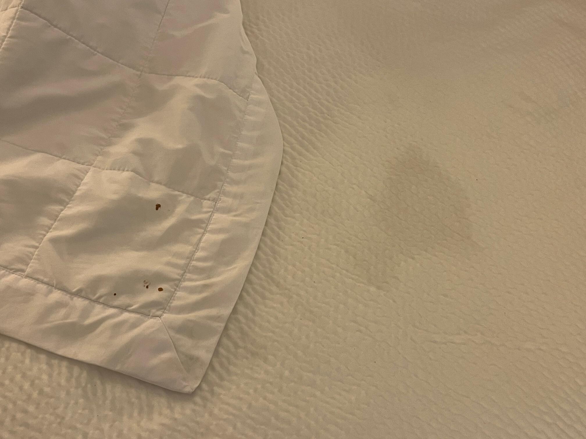 Blood stains & bedspread stain