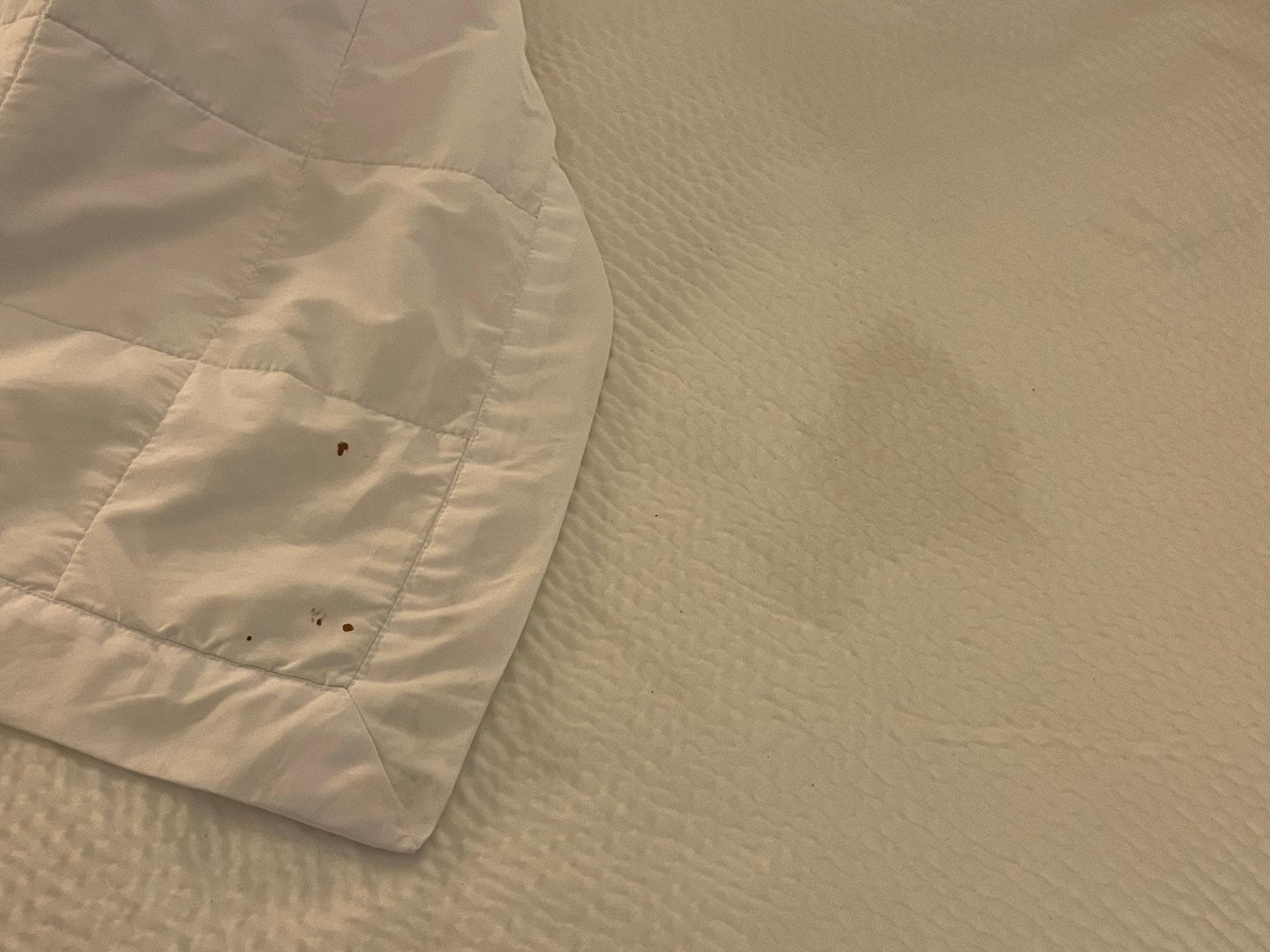 Blood stains & bedspread stain
