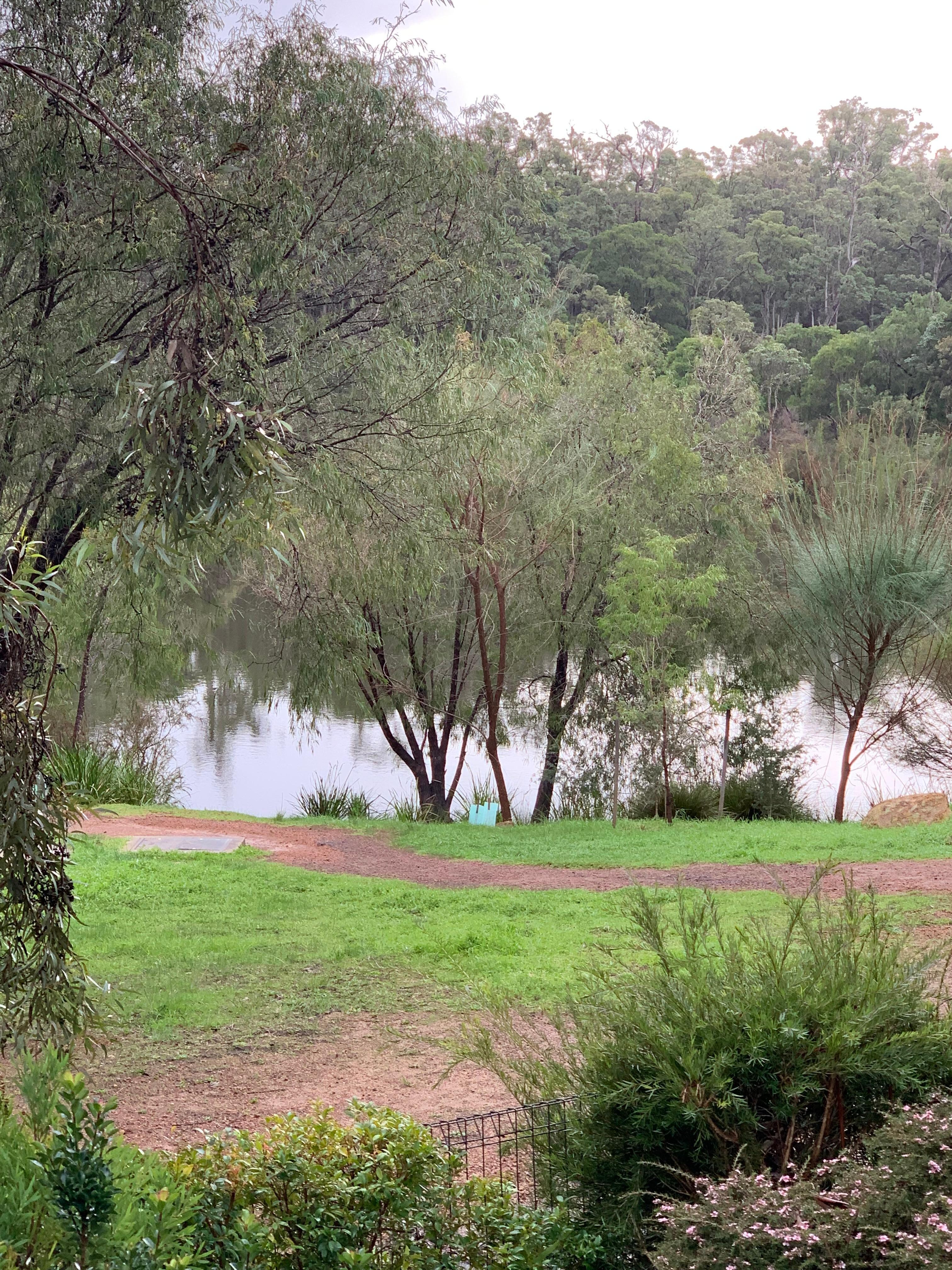 The river view
