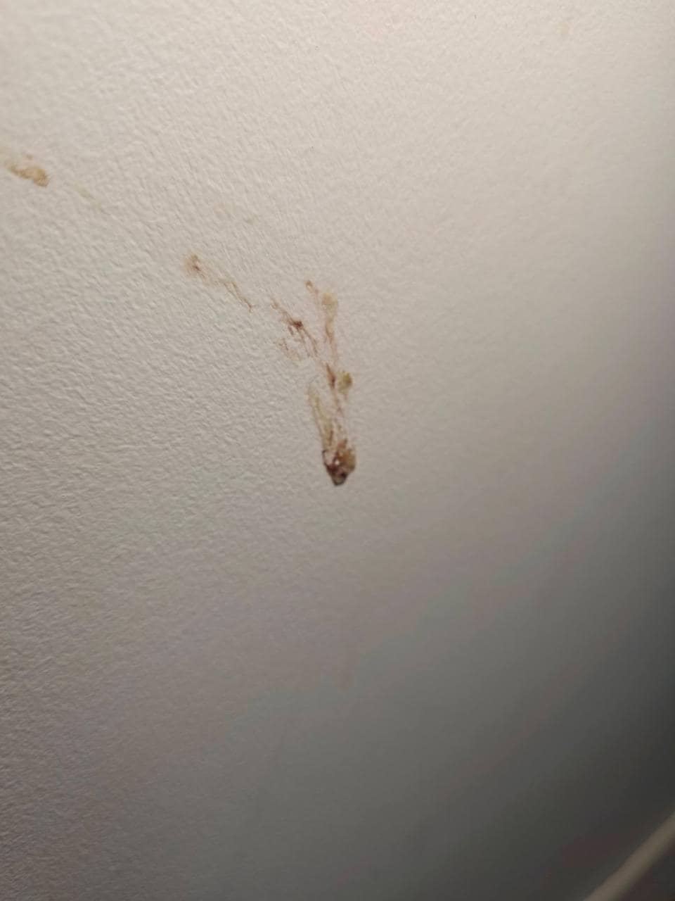 Gross stain the wall, one of many