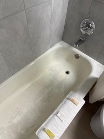 Old bathtub looked like it was painted