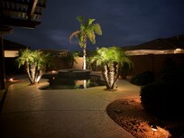 Backyard at night