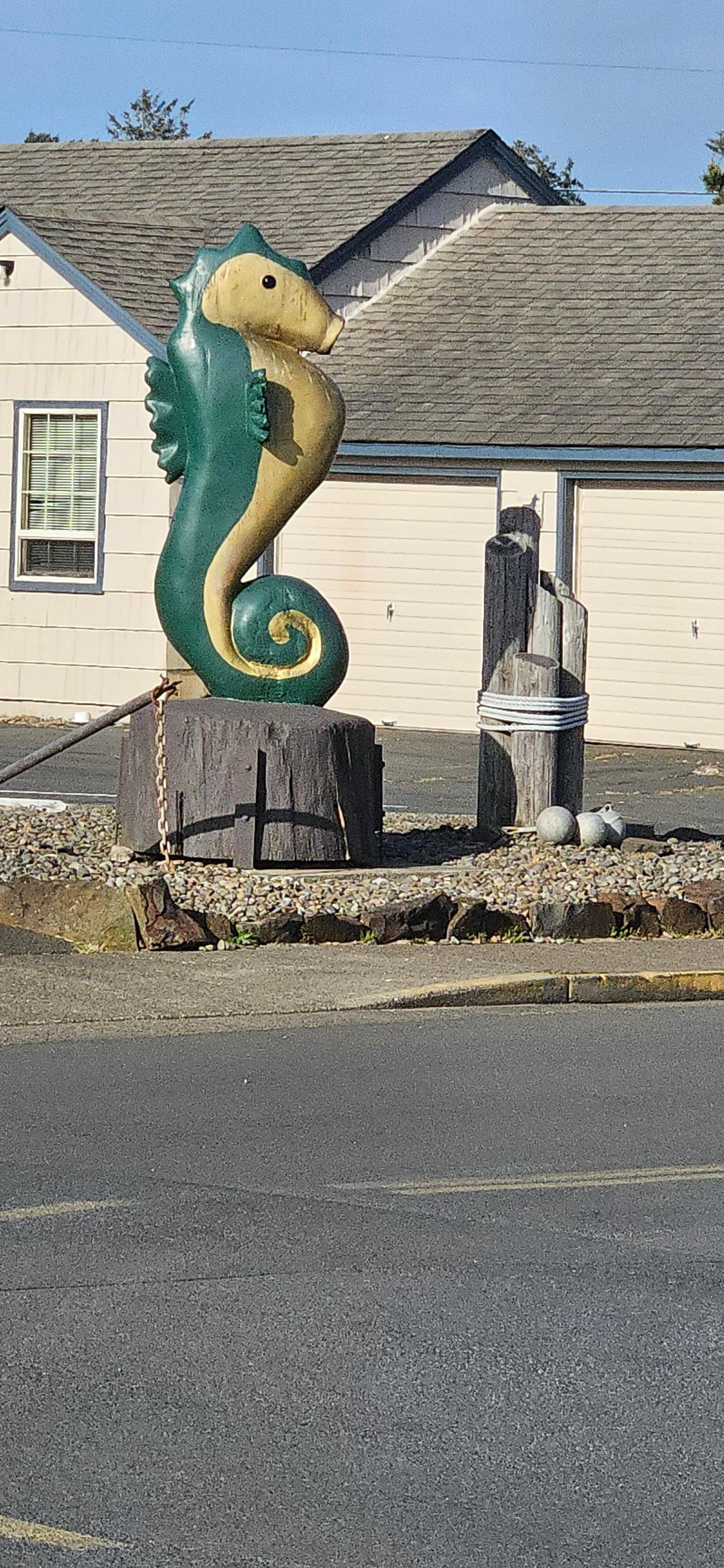 I love โค๏ธ the seahorse