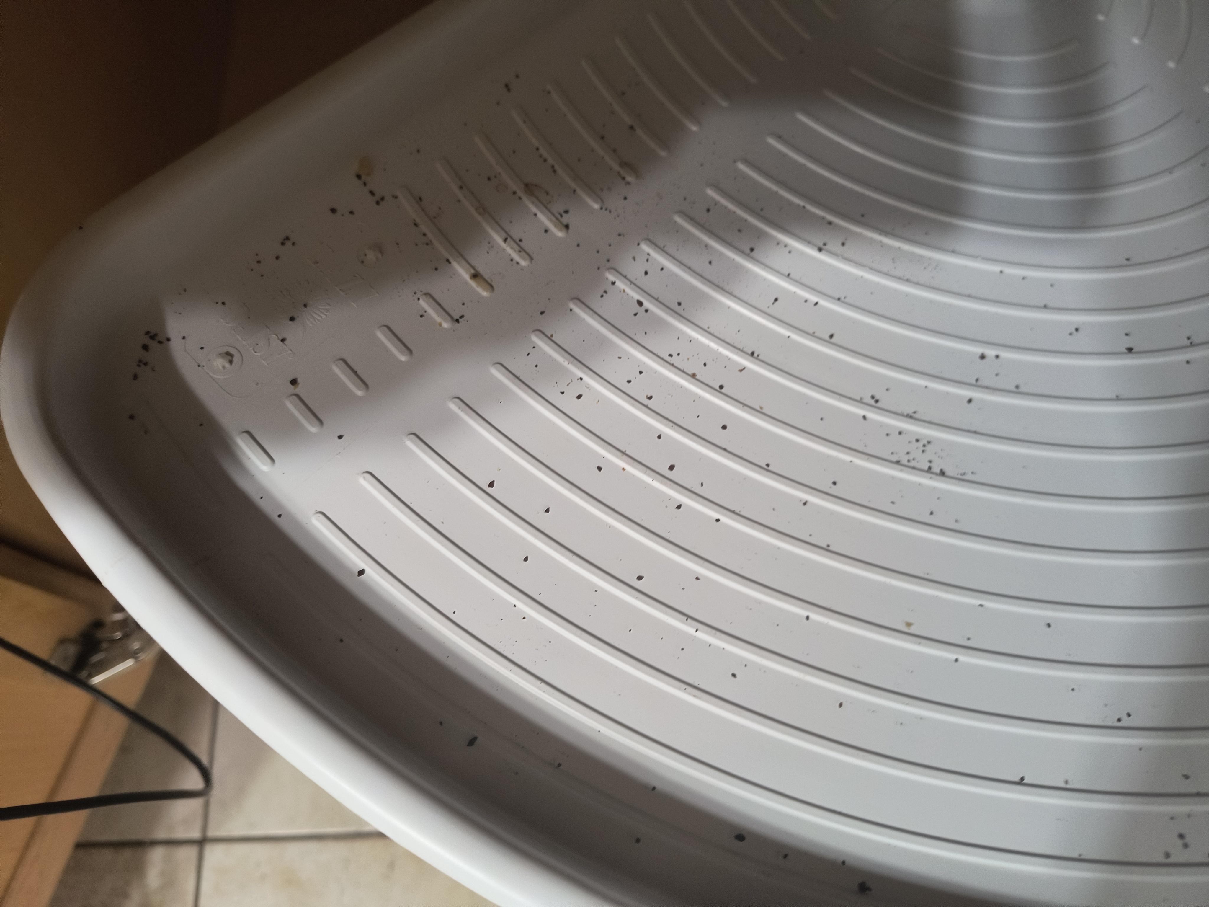 Food crumbs in cupboards ! unacceptable 