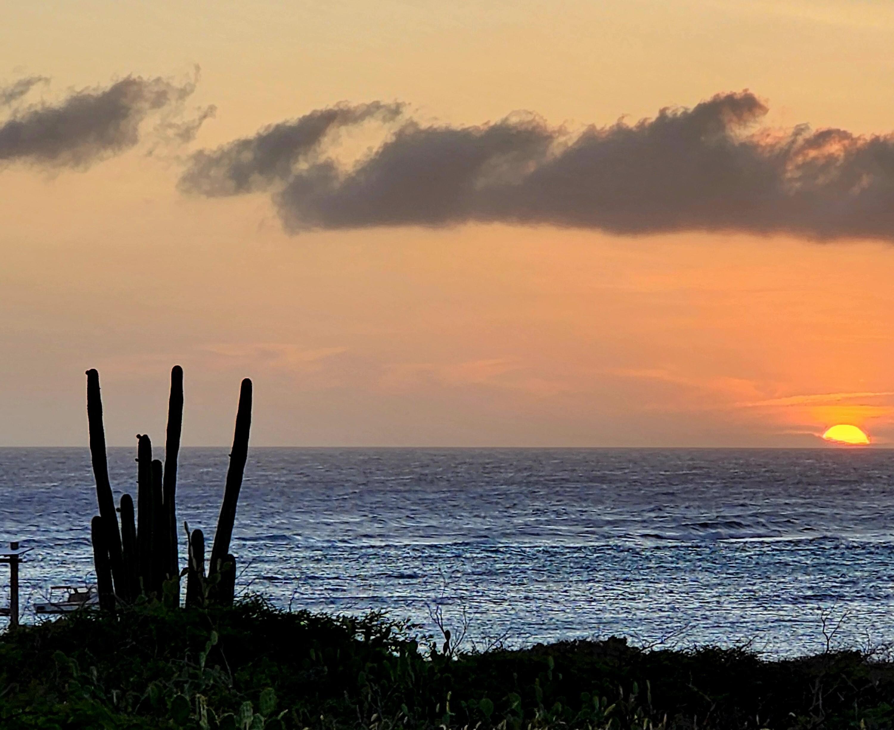 View from the back yard just about every night!