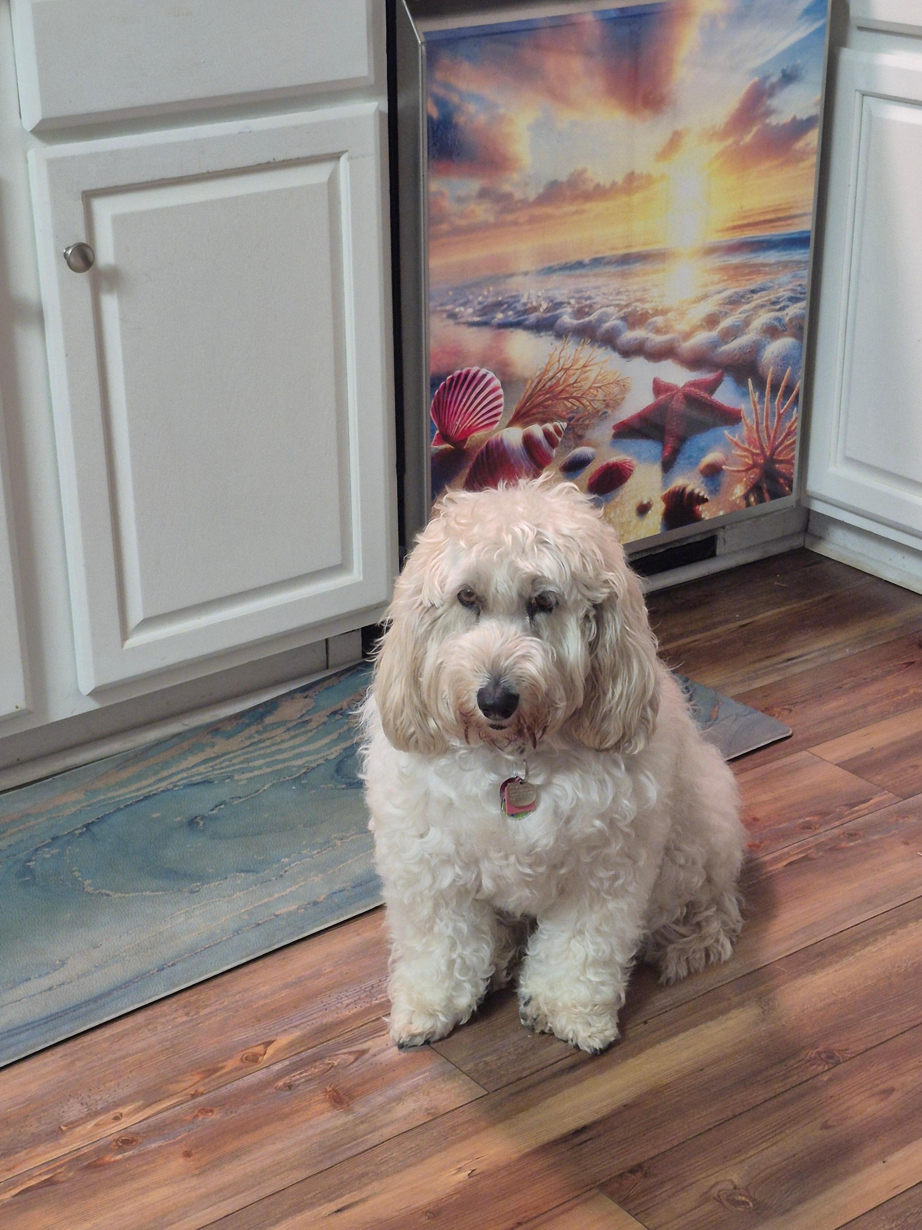 Stevie Nicks after a day at the beach