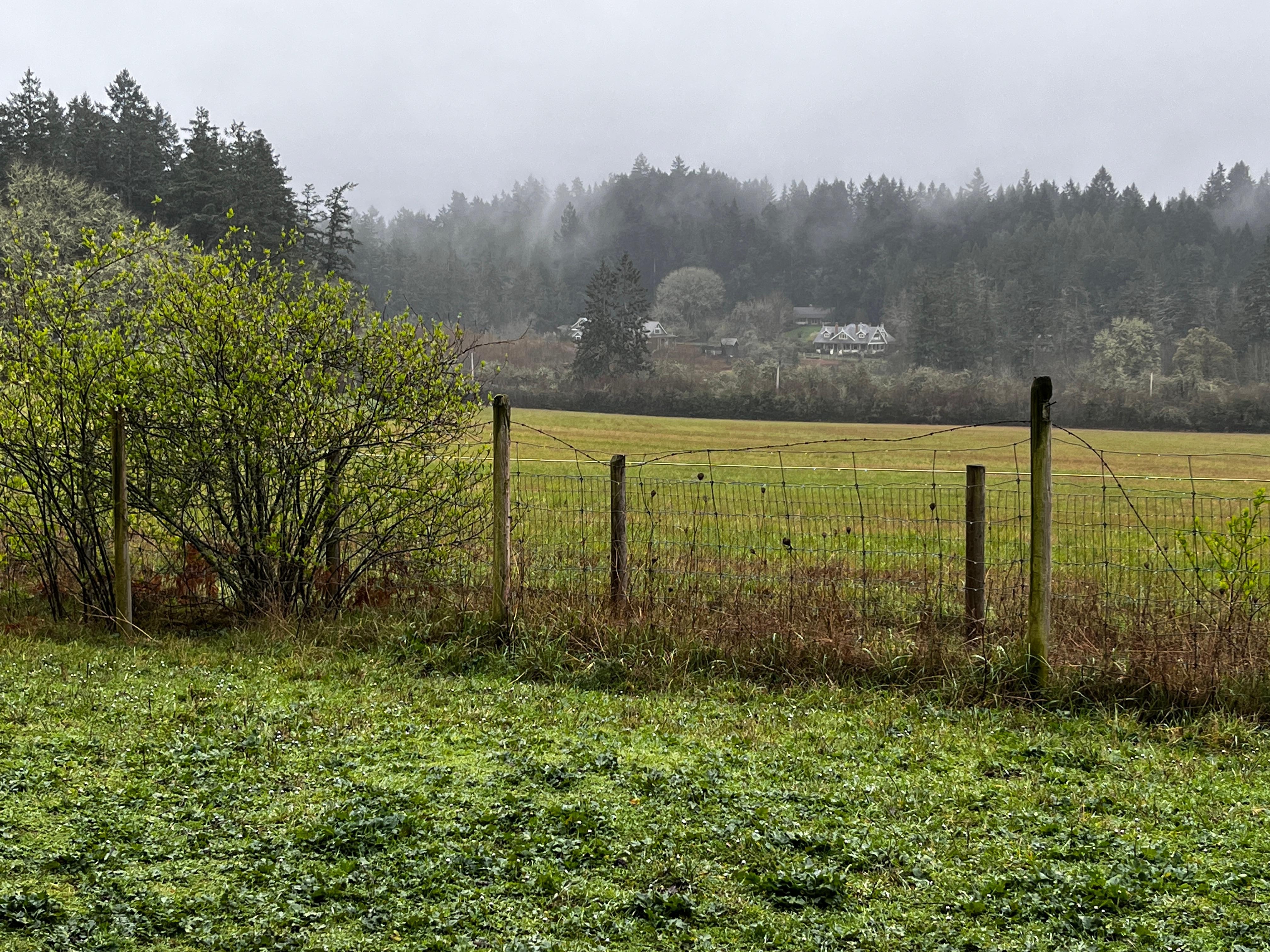 Field behind property.