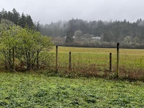 Field behind property.