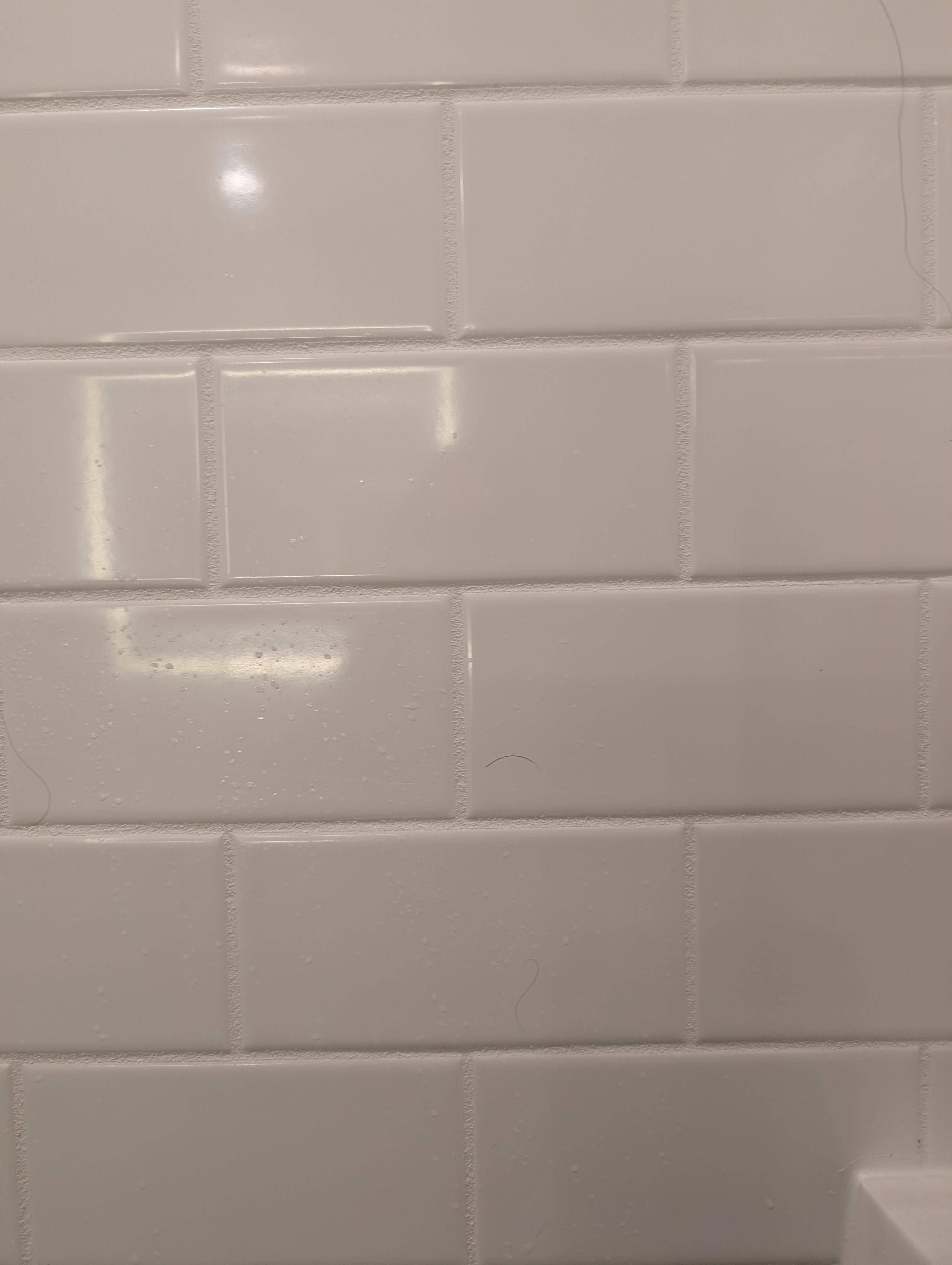 Hairs on the shower wall