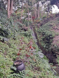 Waterfall view from across the stream