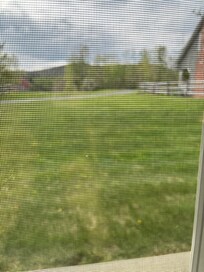 Patio view