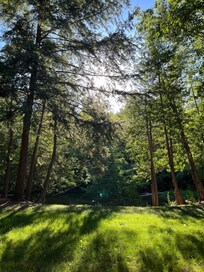 Relaxing views from the back porch!