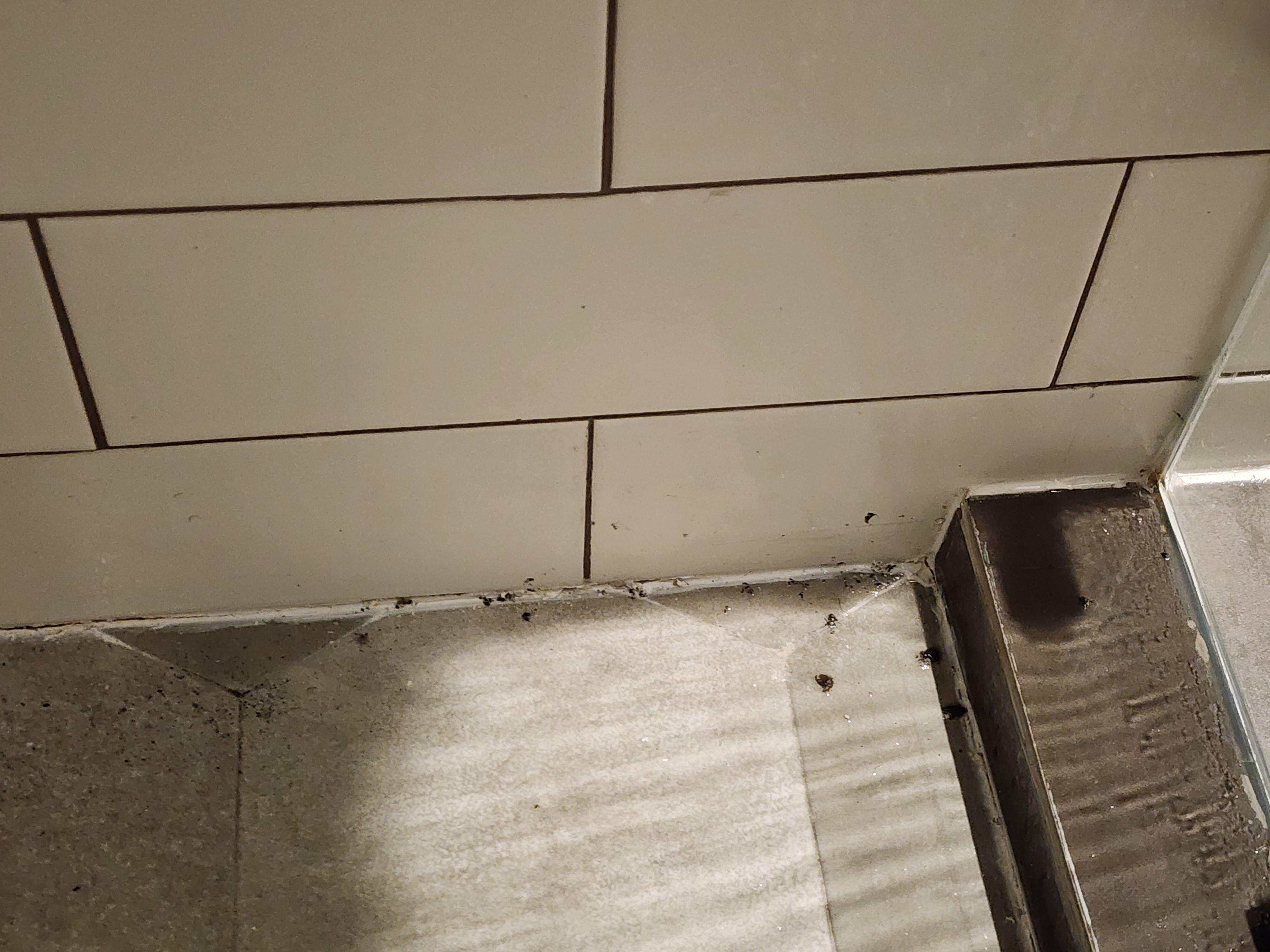 Shower full of hair