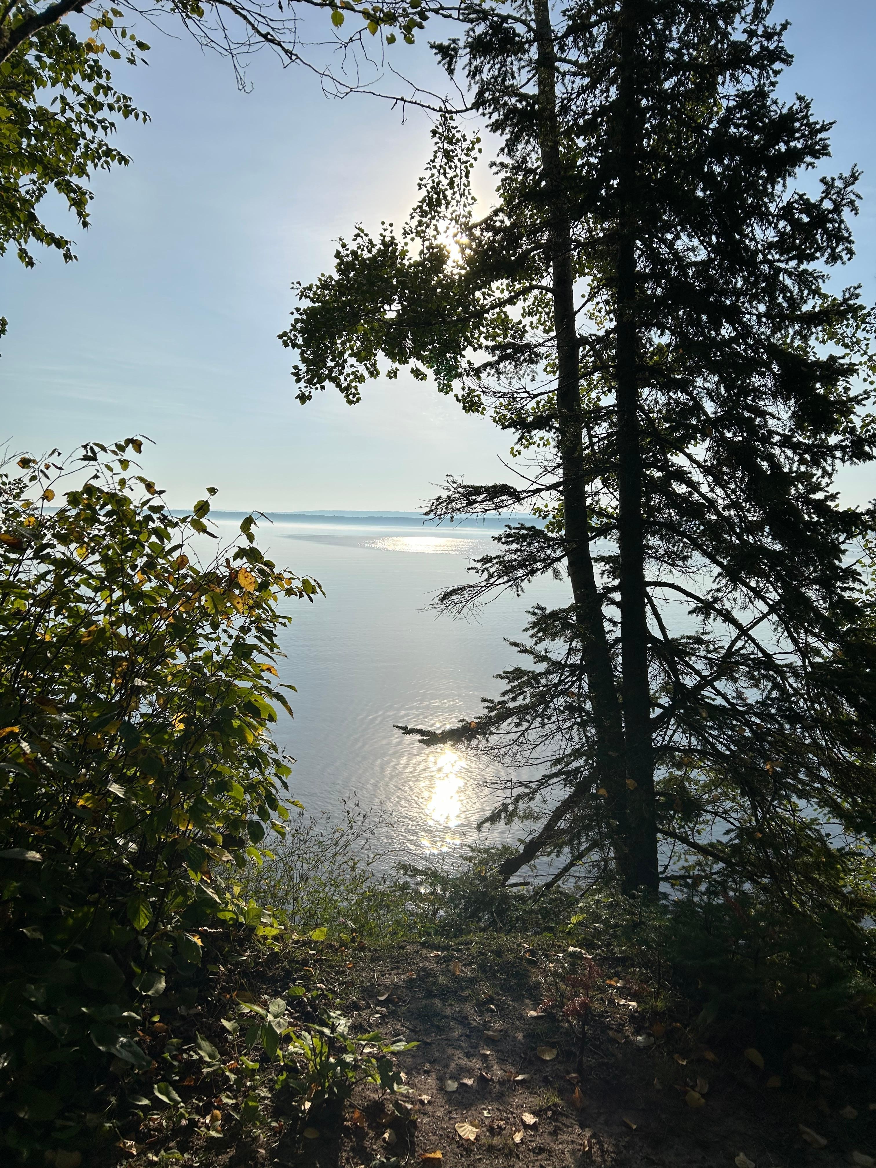 Early morning sun reflection through the trees. 