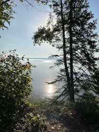 Early morning sun reflection through the trees.
