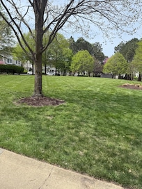 Grassy area great for dogs and lawn games