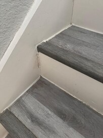 Stairs did not feel clean and molding was falling apart