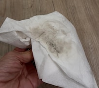 From bathroom floor.