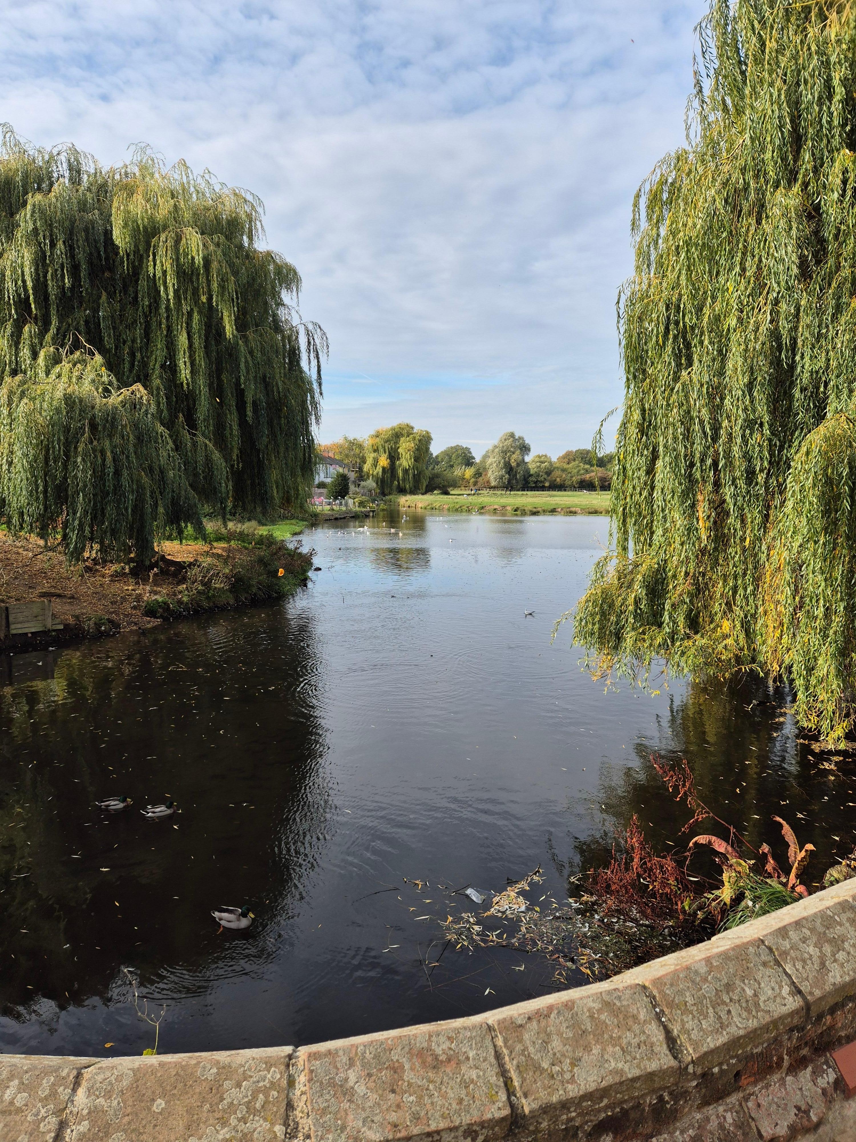View from the hotel entrance