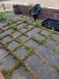 Hintere Terrasse