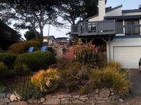 A view of the home’s garden.