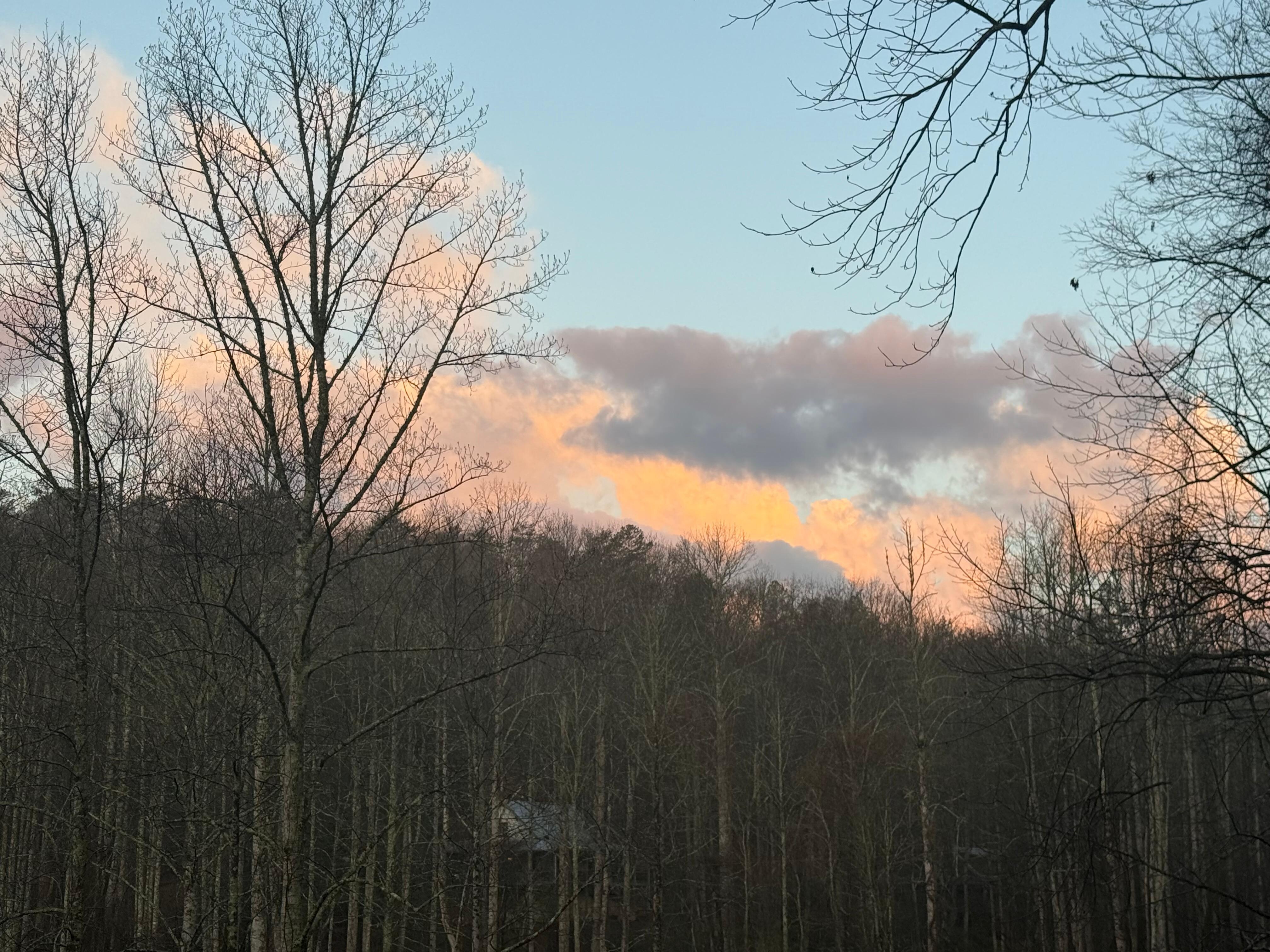 The view from the deck