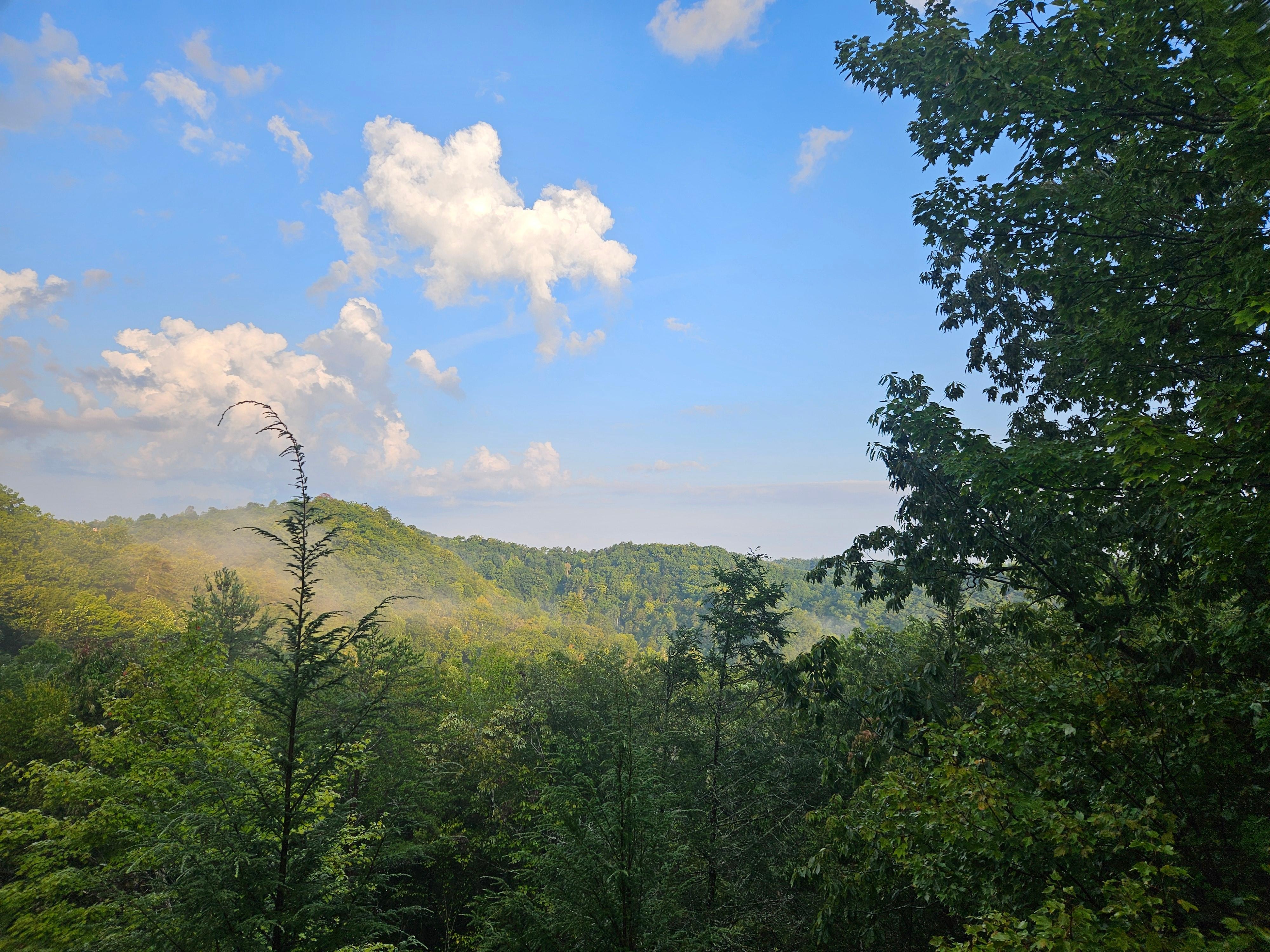 View from the 2nd Deck early morning. 