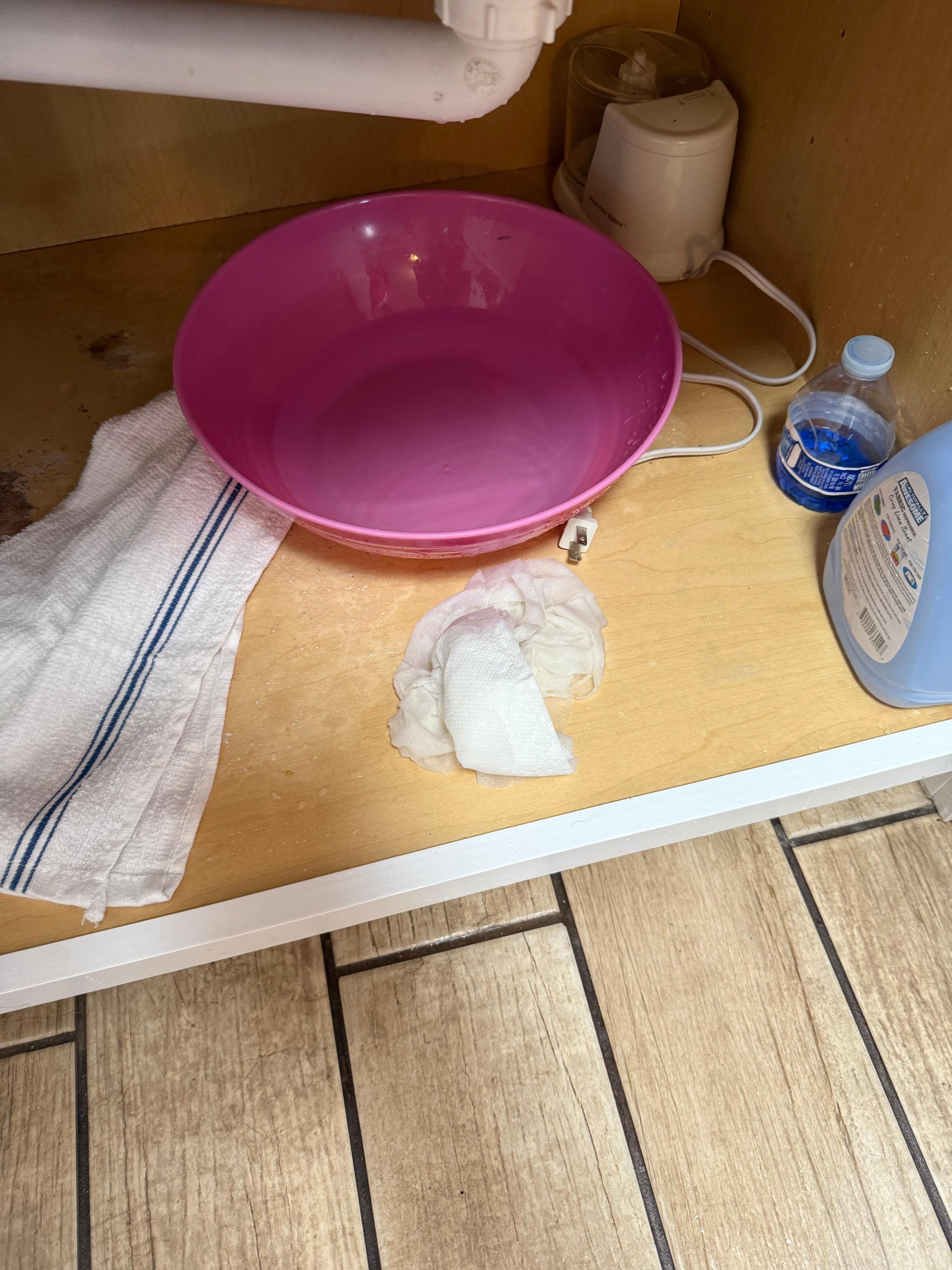 Kitchen sink leak