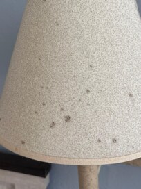 Lamp shade mold