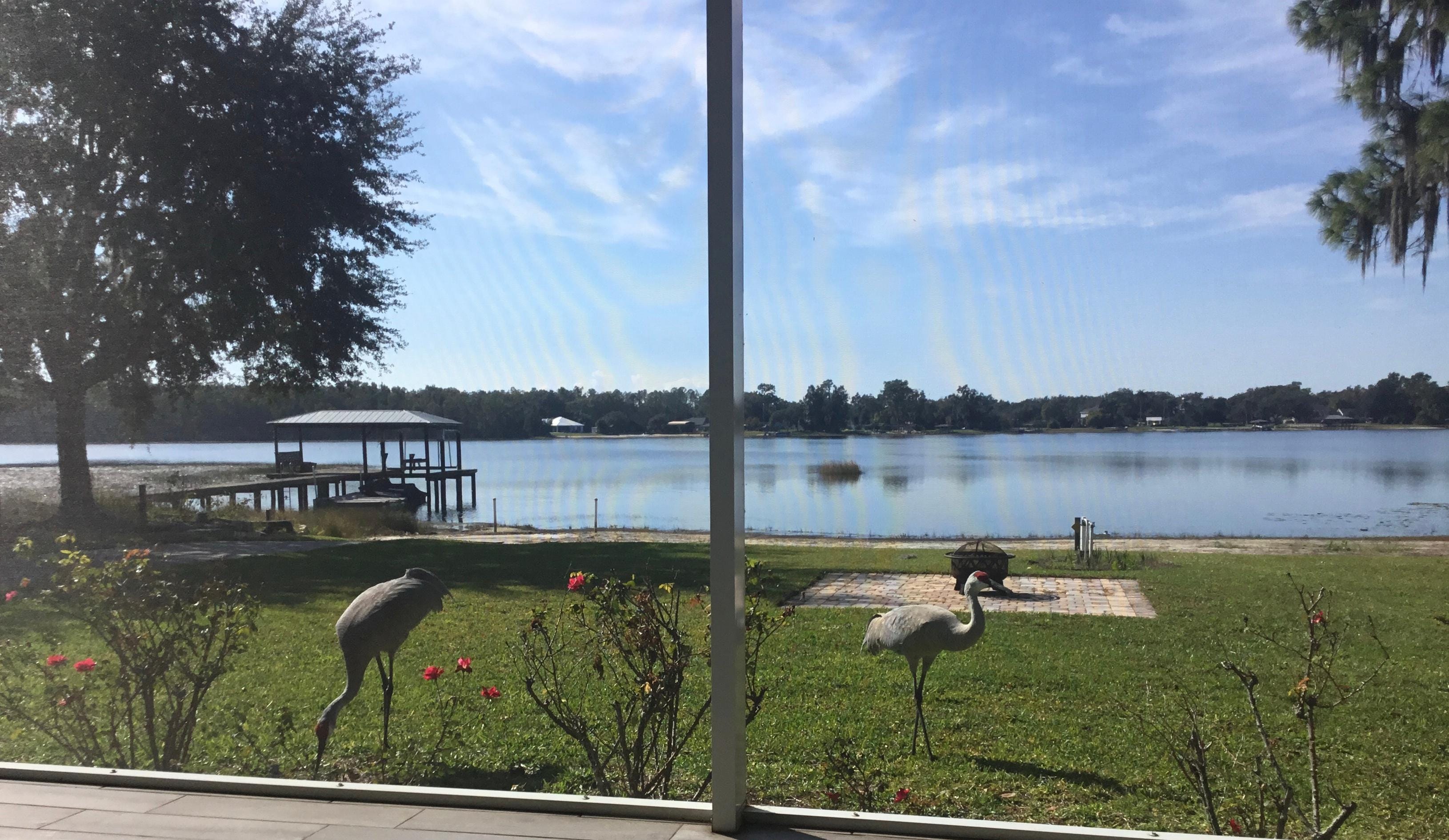 Our almost daily visitors.