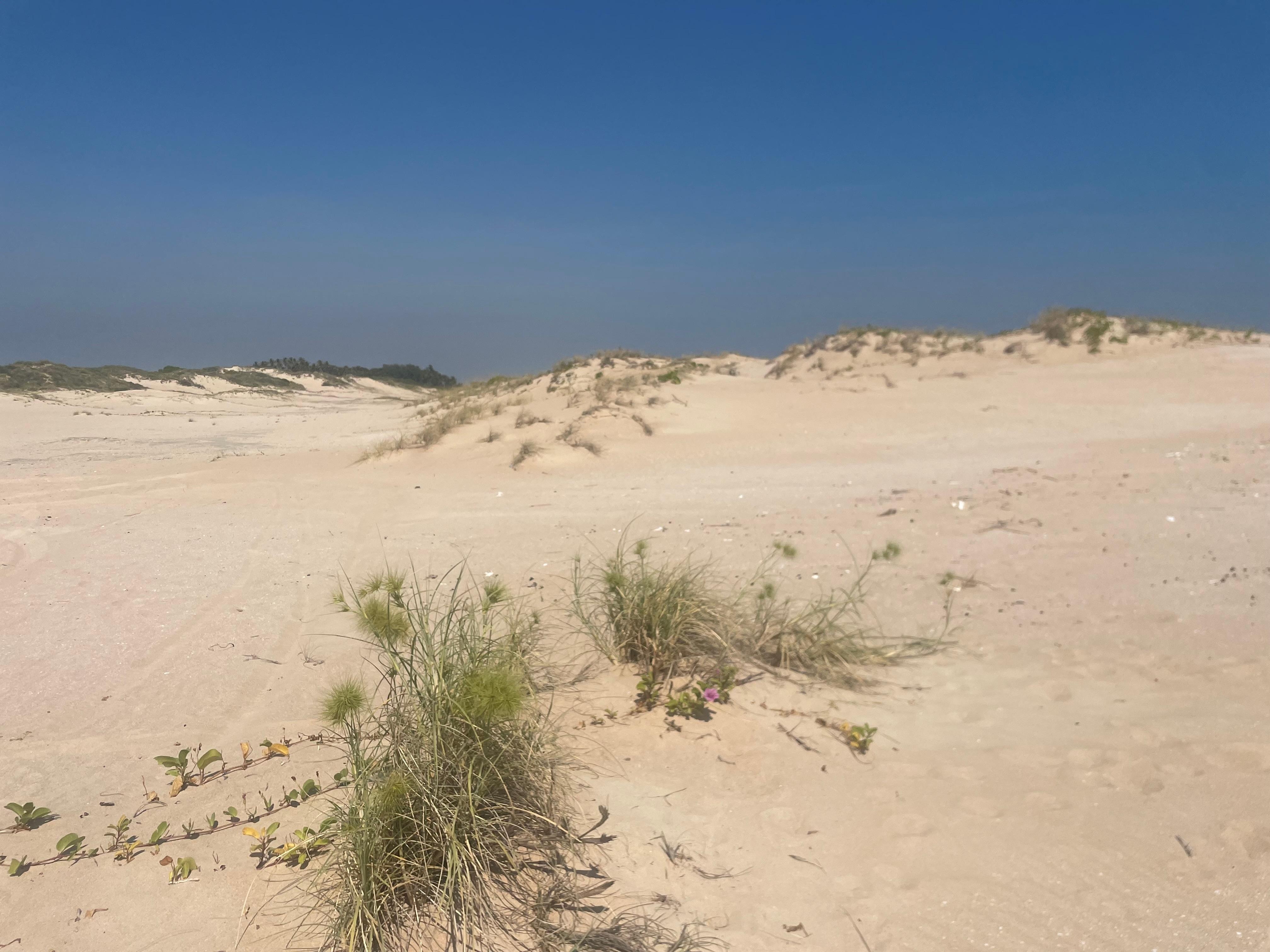 Cable Dunes