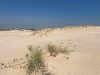 Cable Dunes