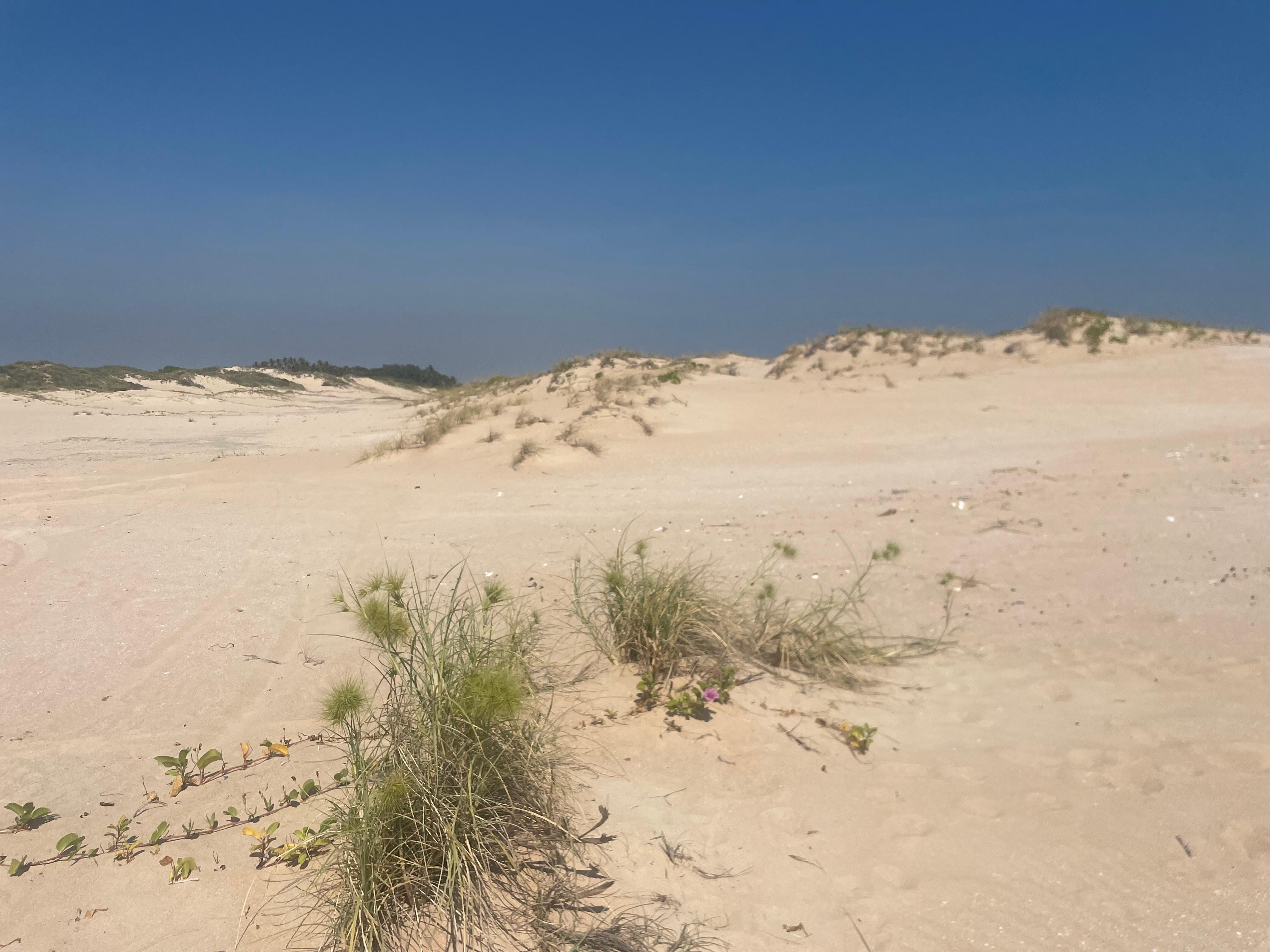 Cable Dunes