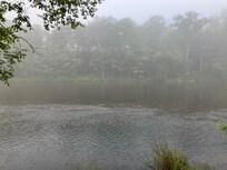 Foggy view of the river in the morning