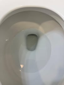 Body here in the toilet