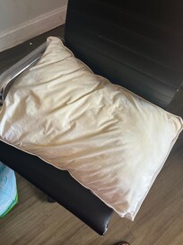 stained pillows