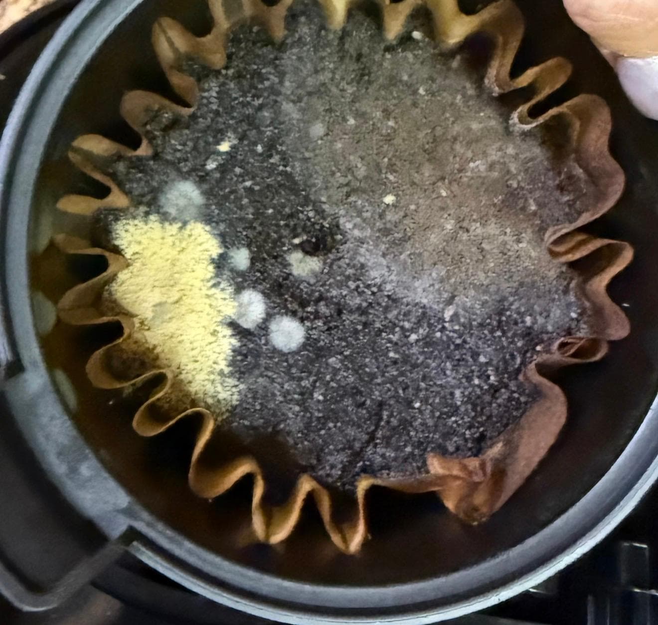 The coffee pot wasn’t cleaned from last visitors. That is mold growing! 🤢