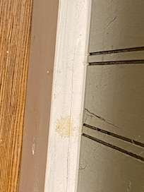 ?