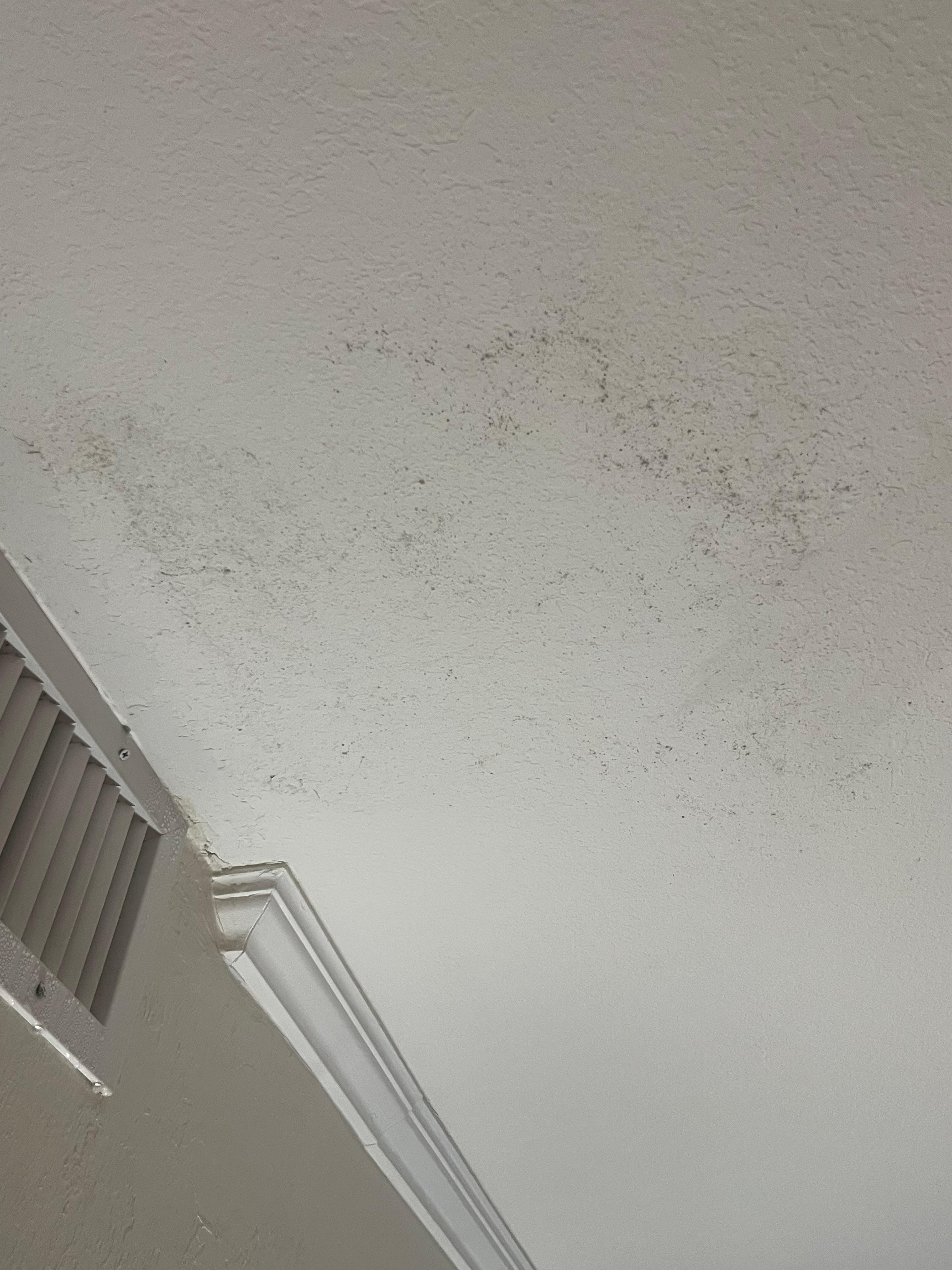 Mold by vent. 