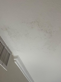 Mold by vent.