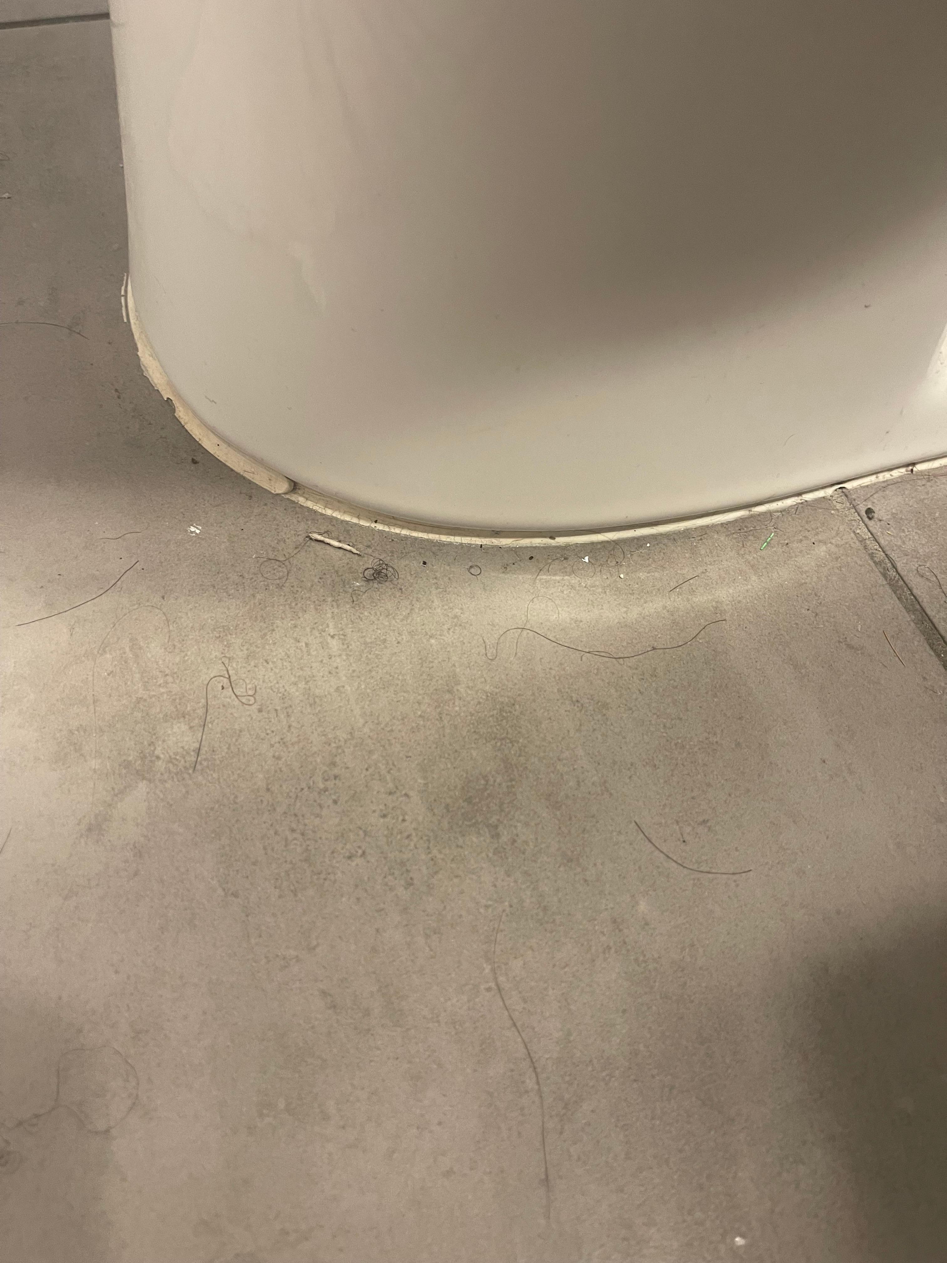Hair and dirt around toilet