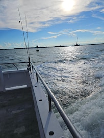 Shark fishing
