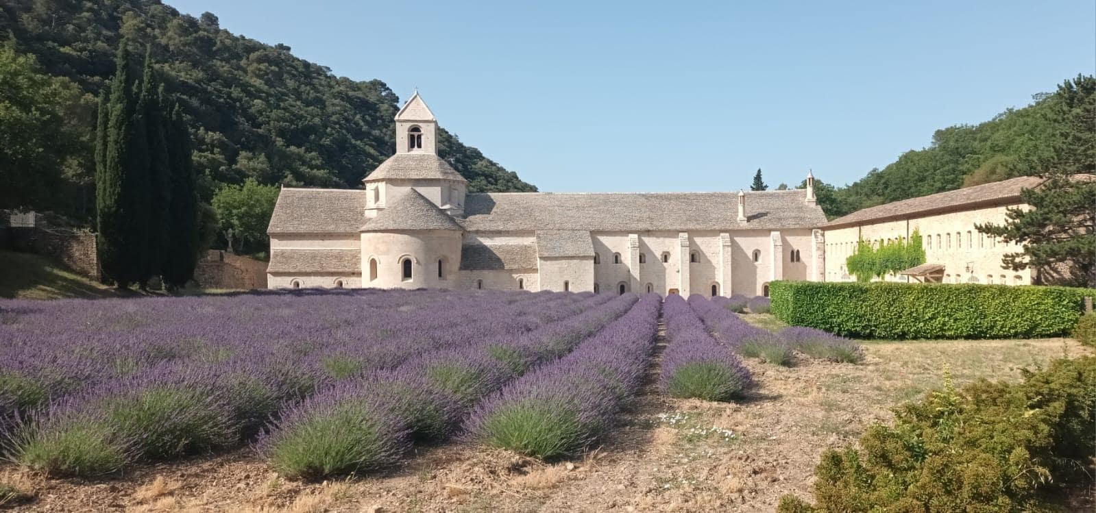 Abbaye de Senanque